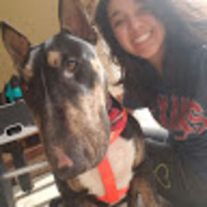 Meet your Posher, Valery